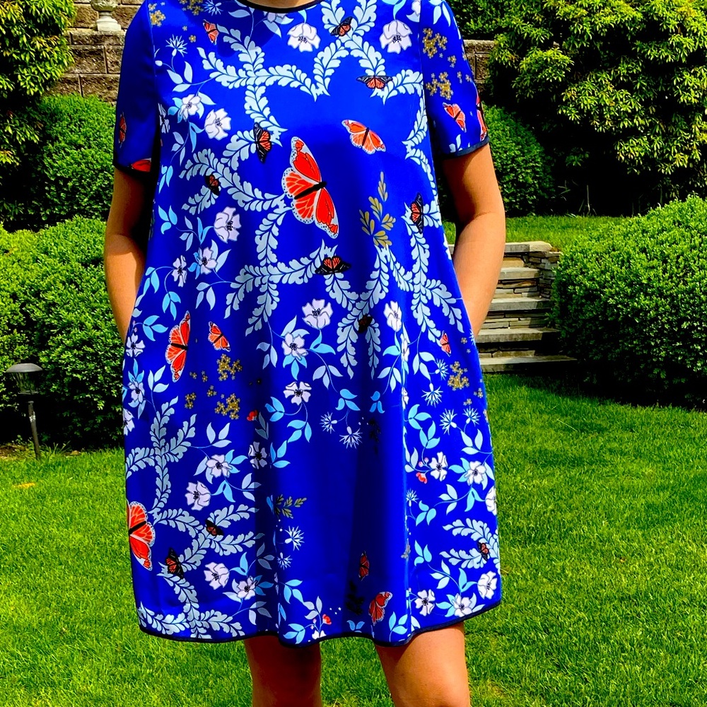 Ted Baker Dress
